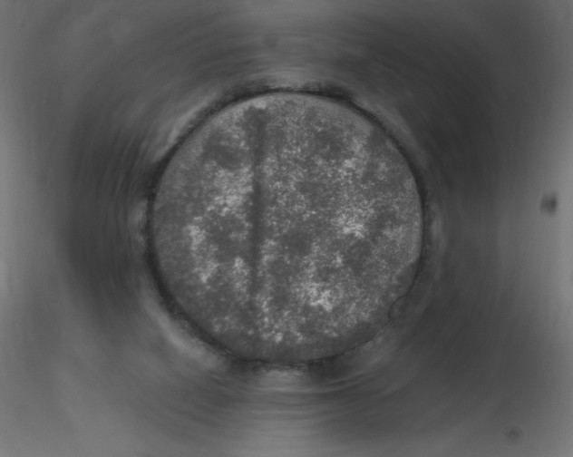 X0000116590066200912312045