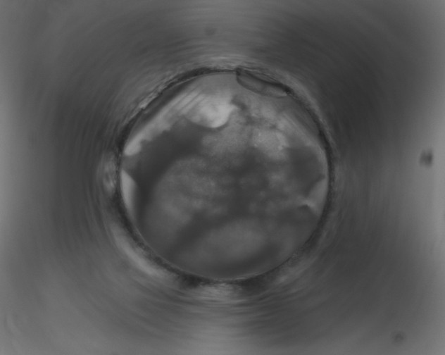 X0000116590069200912312045