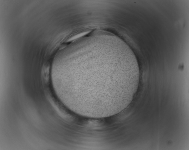 X0000116590070200912312045