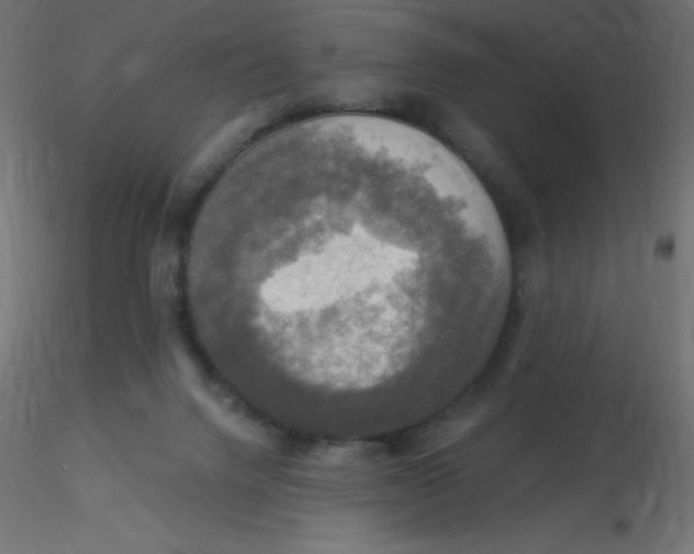 X0000116590072200912312045