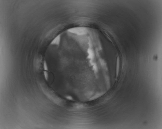 X0000116590073200912312045