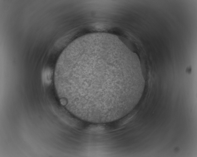 X0000116590075200912312045