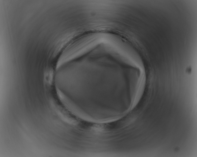 X0000116590076200912312045