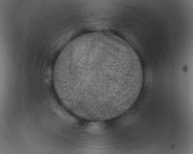 X0000116590077200912312045