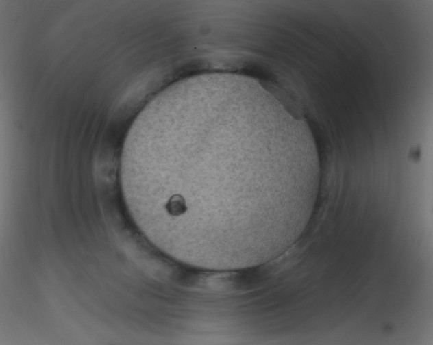 X0000116590078200912312045