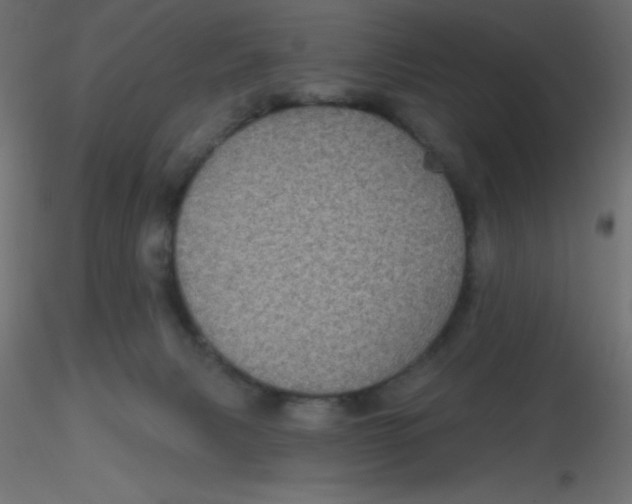 X0000116590079200912312045