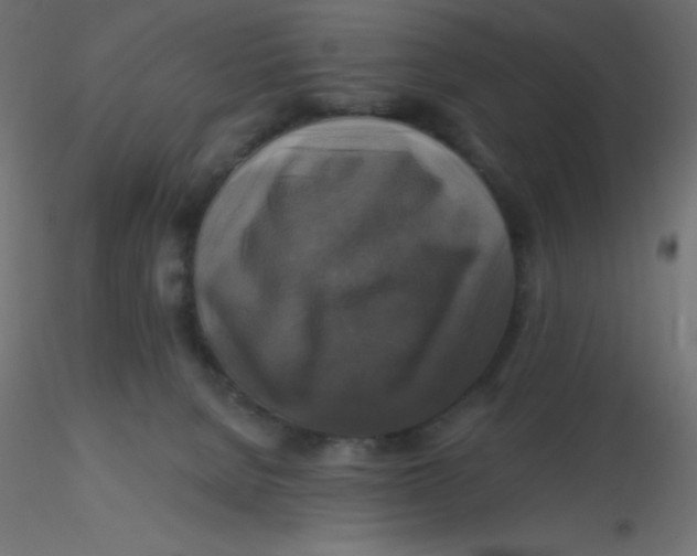 X0000116590080200912312045