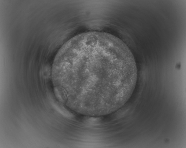 X0000116590081200912312045