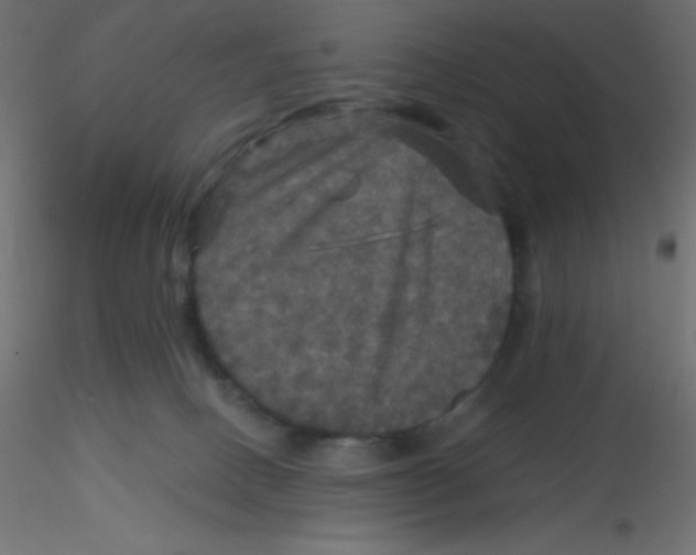 X0000116590082200912312045