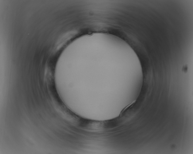 X0000116590084200912312045