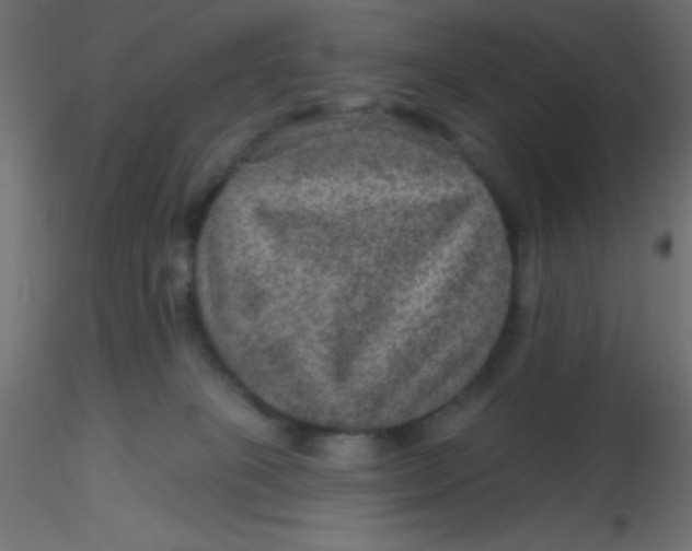 X0000116590085200912312045