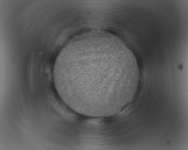 X0000116590086200912312045