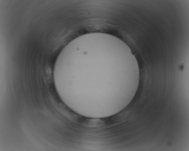 X0000116590087200912312045