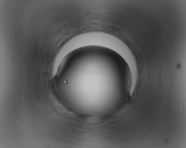 X0000116590088200912312045