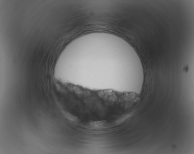 X0000116590089200912312045