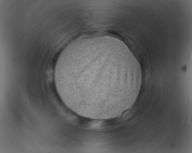 X0000116590090200912312045