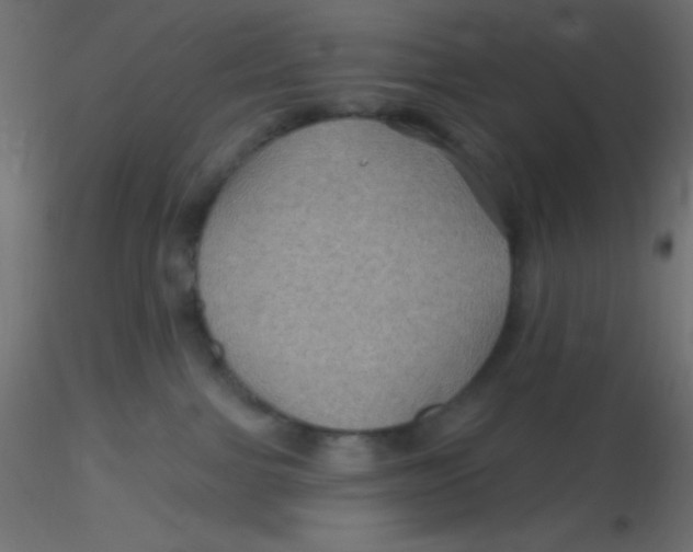 X0000116590091200912312045