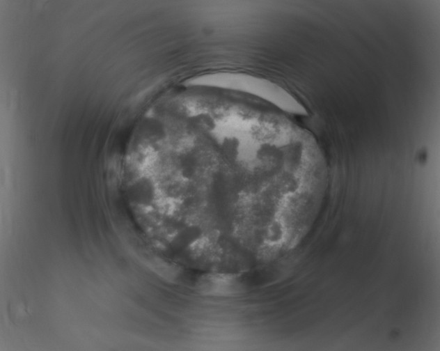 X0000116590093200912312045