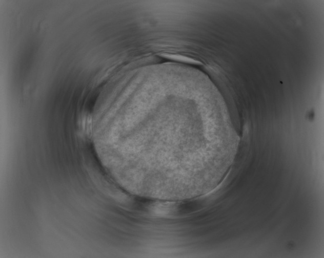 X0000116590094200912312045