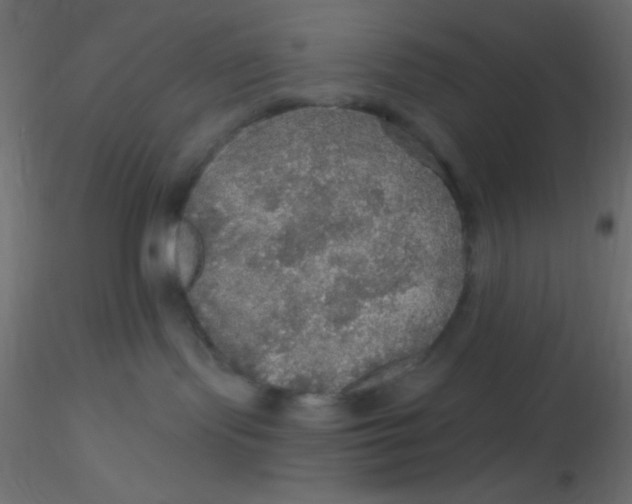 X0000116590095200912312045