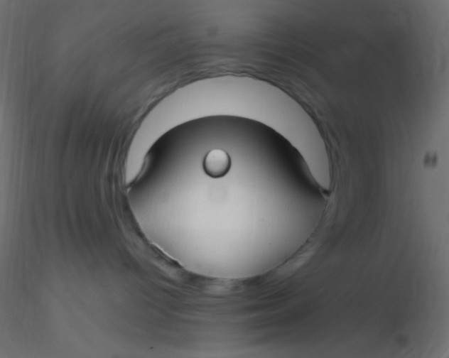 X0000116590096200912312045