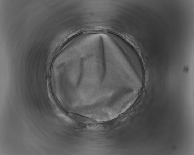 X0000116590097200912312044