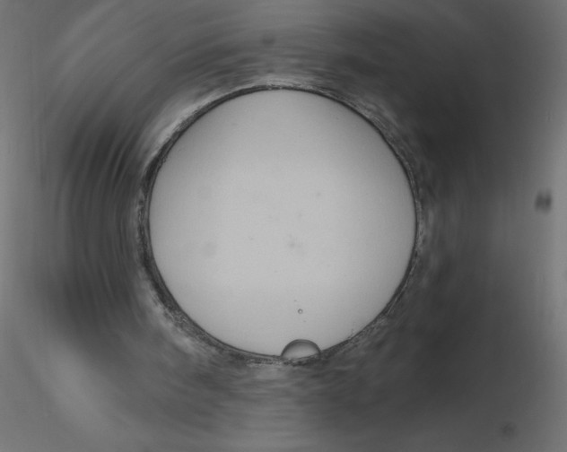 X0000116590098200912312044