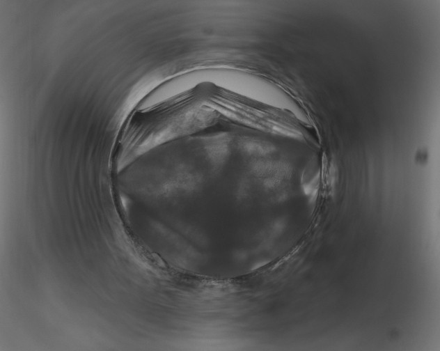 X0000116590099200912312044