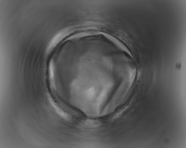 X0000116590101200912312044