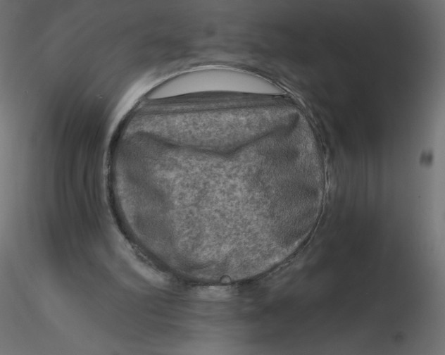 X0000116590102200912312044