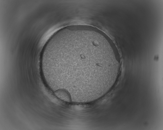 X0000116590103200912312044