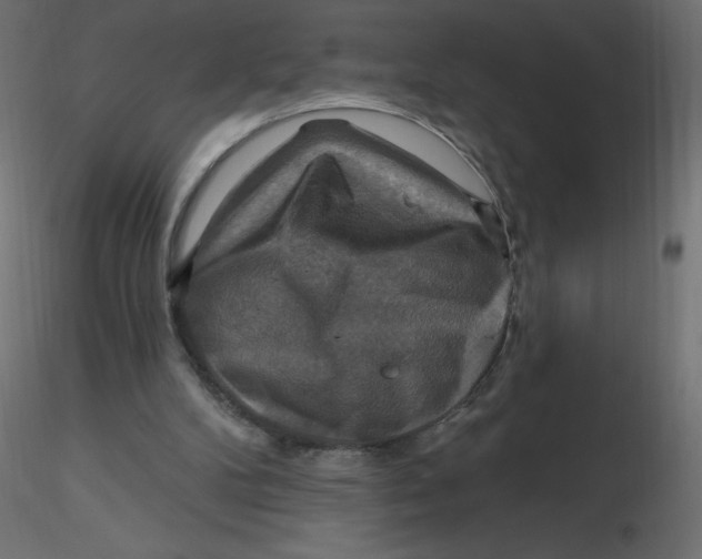 X0000116590104200912312044