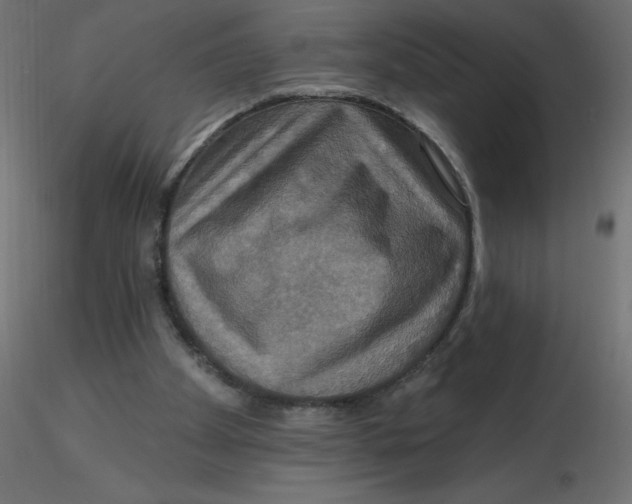 X0000116590105200912312044