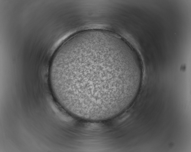 X0000116590107200912312044