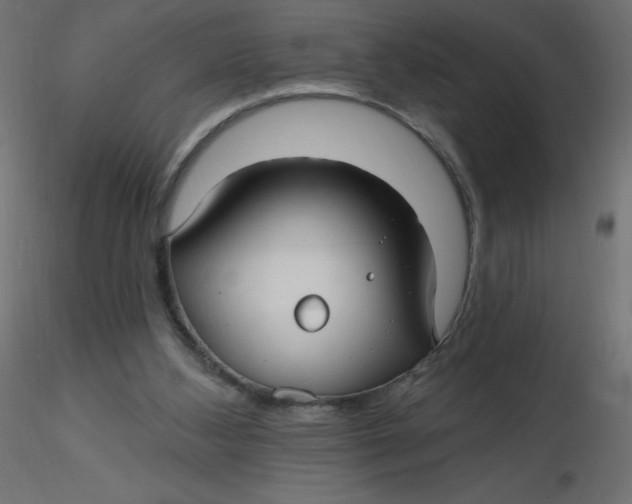 X0000116590108200912312044