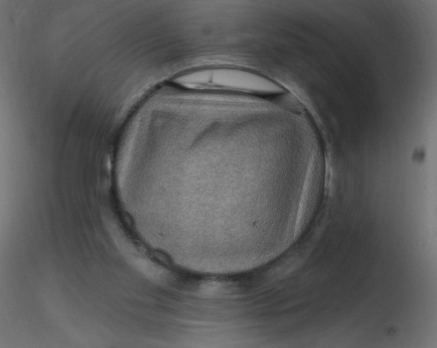 X0000116590109200912312044