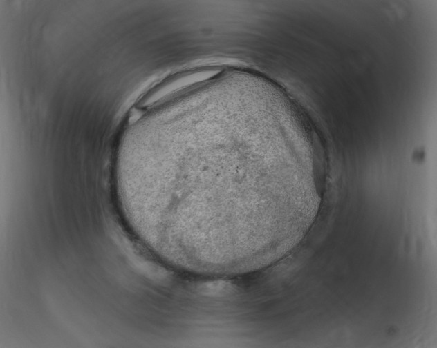 X0000116590112200912312044