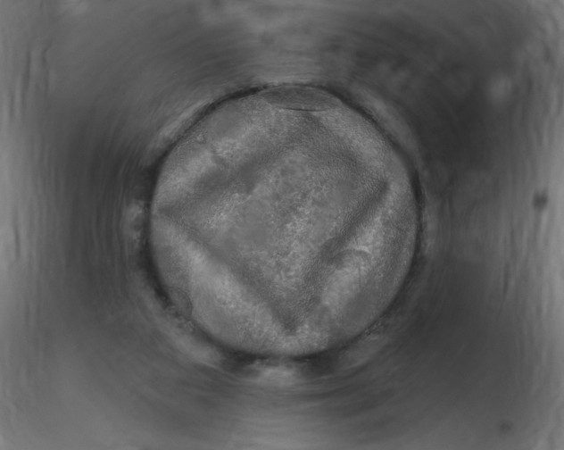 X0000116590113200912312044