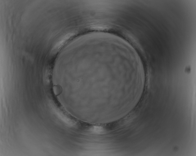 X0000116590114200912312044