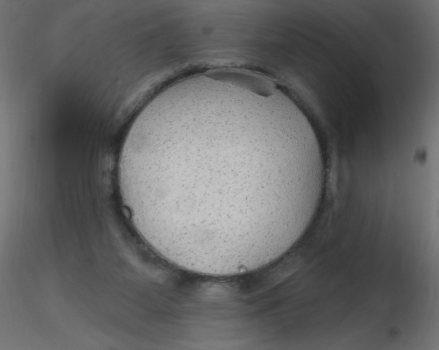 X0000116590115200912312044