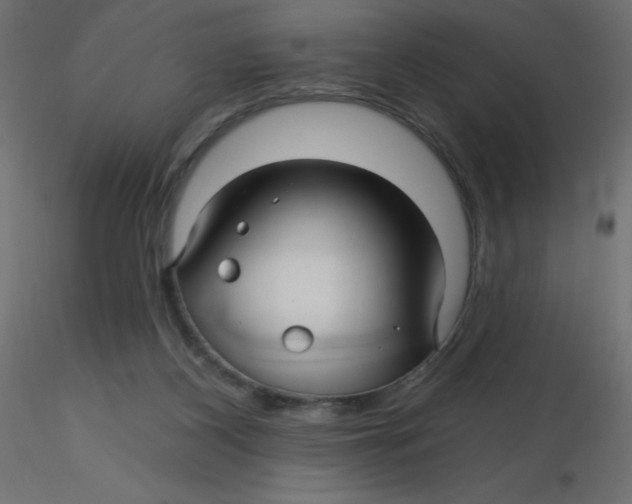 X0000116590116200912312044