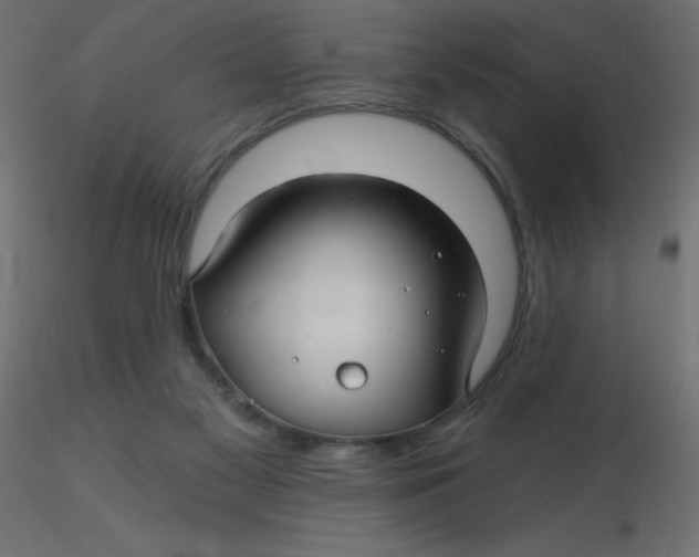 X0000116590117200912312044