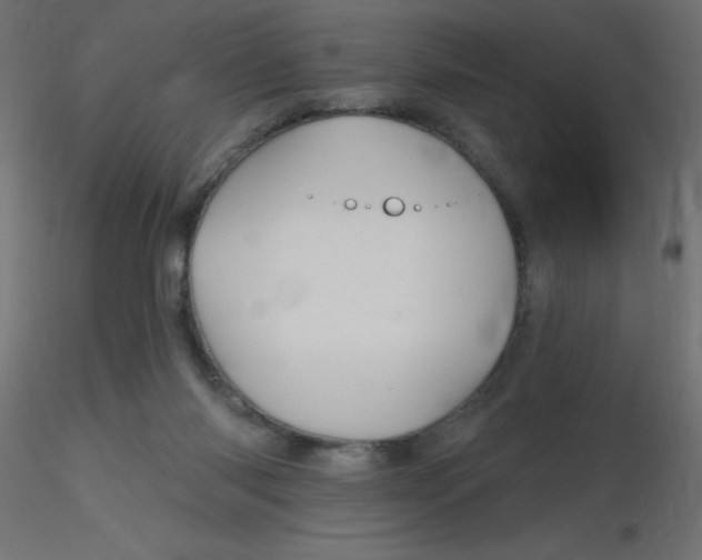 X0000116590118200912312044