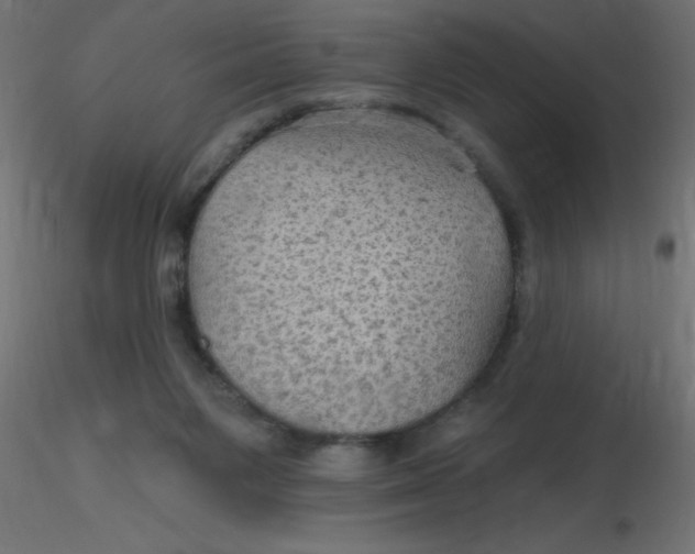 X0000116590119200912312044