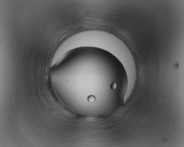 X0000116590121200912312044