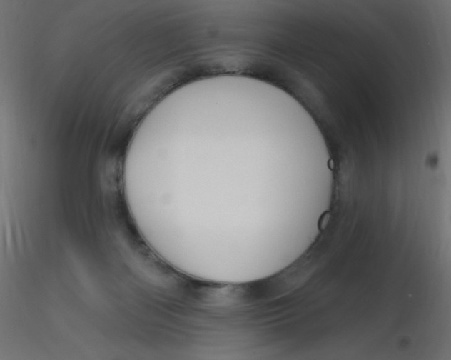 X0000116590122200912312044