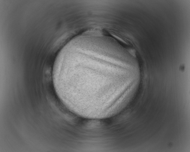 X0000116590123200912312044