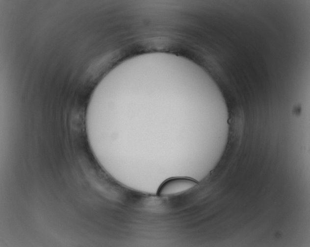 X0000116590126200912312044