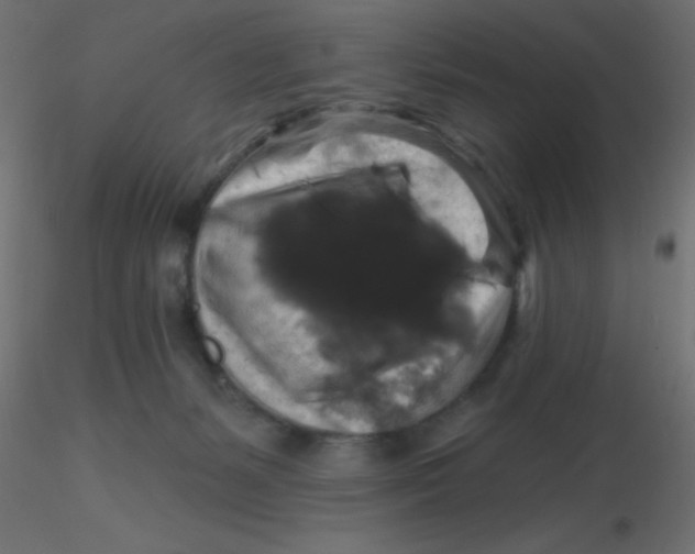 X0000116590127200912312044