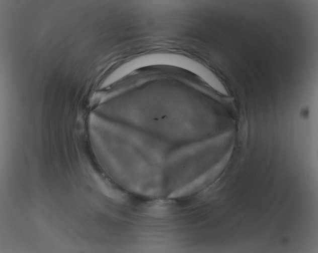 X0000116590128200912312044